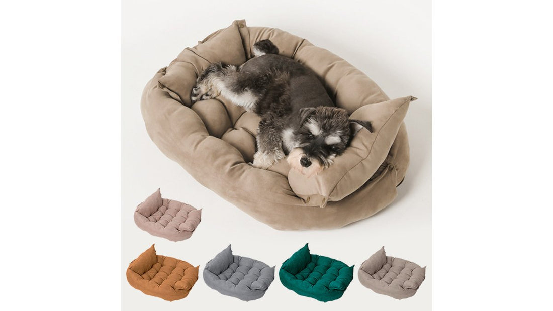 Where to Buy Affordable Pet Supplies: 2026 Guide